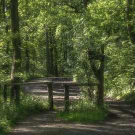 _IGP5690_3