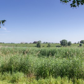 _IGP7827_2
