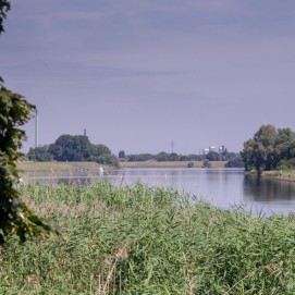 _IGP7846_2