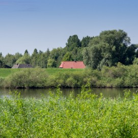 _IGP7854_2